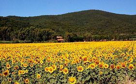 Agriturismo Valborgina